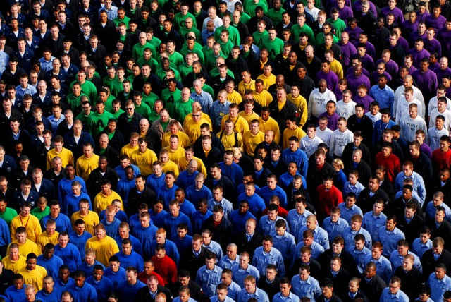 IncFact Search Company Database