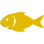 Big Fish
